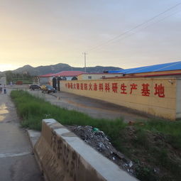 灵寿县剑波矿物粉体加工厂 专注矿产品精加工，赋能工业升级
